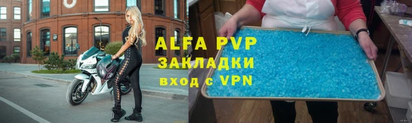 индика Арсеньев