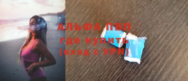 индика Арсеньев