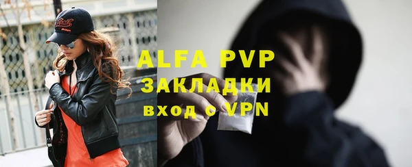 индика Арсеньев