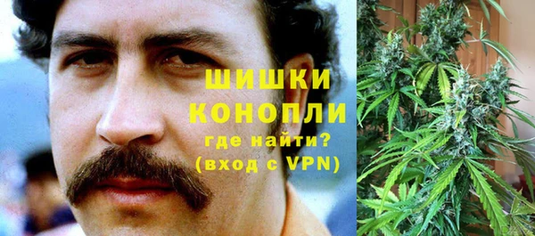 индика Арсеньев