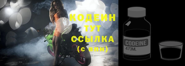 индика Арсеньев