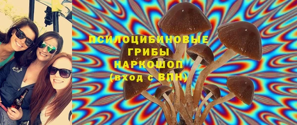 индика Арсеньев