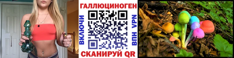 Псилоцибиновые грибы Cubensis  купить закладку  Североуральск 